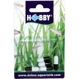 Hobby Planaria X Lockfutter Fischfutter