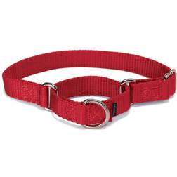 PetSafe Premier Martingale Dog Collar