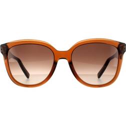 Ferragamo Sqaure Crystal Brown Gradient