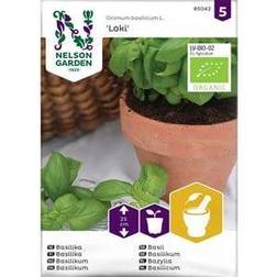 Nelson Garden Basilikum Loki Øko Organic Krydderurtefrø