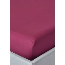 Homescapes Plum, Double Egyptian Bed Sheet