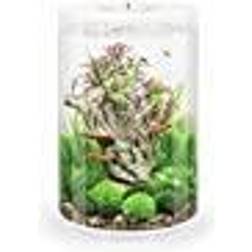 Biorb 72067 TUBE 30 LED, 360-Grad Deko-Aquarium