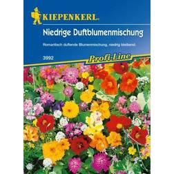 Kiepenkerl Saatgut Duftblumenmischung