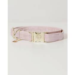 Kentucky Dog Collar Velvet - Rose