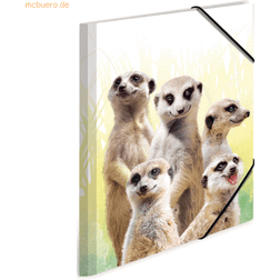 Herma Traditionel Filmappe A3 Polypropylen Flerfarvet Papir