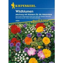 Kiepenkerl Saatgut Wildblumen