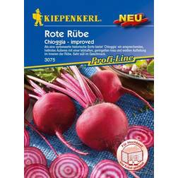 Kiepenkerl Rote Bete Chioggia Beta vulgaris L. var. Conditiva