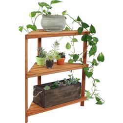 Sunnydaze Meranti Wood 3-Tier Corner Plant Stand Oil