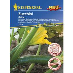 Kiepenkerl Zucchini Quine Cucurbita