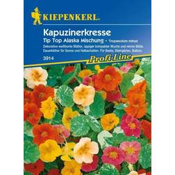 Kiepenkerl Kapuzinerkresse Tip-Top Alaska Tropaeolum