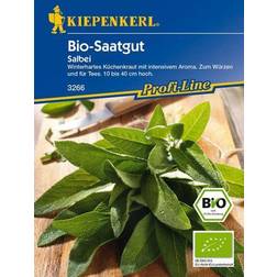 Kiepenkerl Bio-Saatgut Salbei Salvia officinalis, ca.