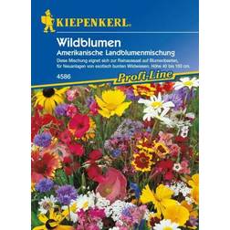 Kiepenkerl Saatgut Wildblumen