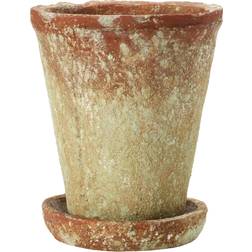 7" Distressed Terra Cotta Cement Planter with Saucer