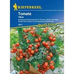 Kiepenkerl Tomate Vilma Solanum lycopersicum, Inhalt: