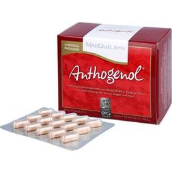 Masquelier's Anthogenol OPC Capsules 90 pcs