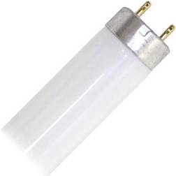 Philips 280933 F17T8/TL830/PLUS/ALTO 2 Foot Plus Straight T8 Fluorescent Tube Light Bulb