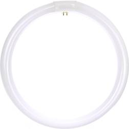 Sunlite FC12T9/DL Fluorescent Lamps 32W G10q