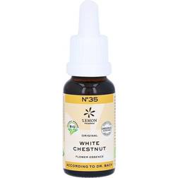 Hager Pharma Bachblomster Hestekastanie White Chestnut • 20ml.