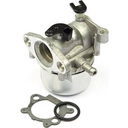 Briggs & Stratton Karburator 799871