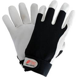 Nitras Driver-Handschuh-Paar, ungefüttert 8905, DEXTER 1