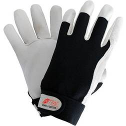 Nitras Nitras Driver-Handschuh-Paar, ungefüttert 8905, DEXTER 1