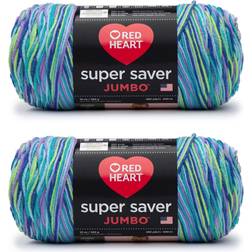Red Heart Red Heart Super Saver Yarn-Wildflower Multipack Of 2