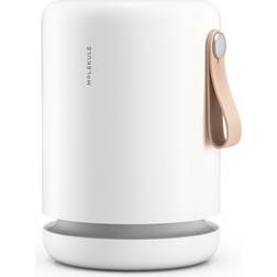 Molekule Air Mini+