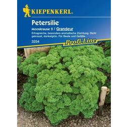 Kiepenkerl Petersilie Grandeur Petroselinum var.