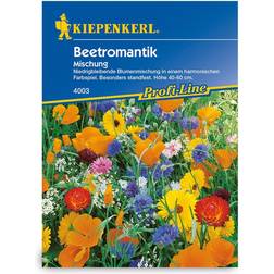 Kiepenkerl Blomsterblanding Blomster romantik