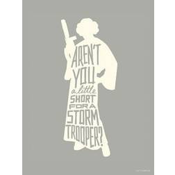 Komar Wandbild Star Wars Silhouette Quotes Leia Disney B/L: ca.