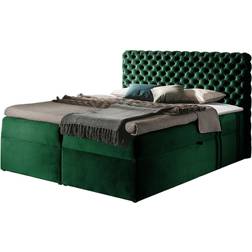 Moiola 200x200 Kontinentalseng