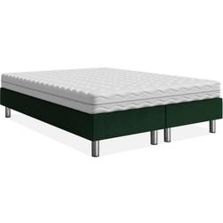 Forenza 140x200 Kontinentalseng
