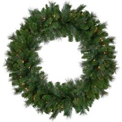 Northlight Mixed Beaver Pine Artificial Christmas Wreath, 36-Inch, Clear Lights Decoration