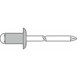 Blindniet Nietschaft Dxl 500 ST 5x10 mm Aluminio / 500 Pz