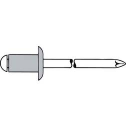 Blindniet Nietschaft Dxl - 250 ST, 6 x 20 mm Alu./STA