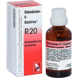 Dr. Reckeweg GLANDULAE-F-Gastreu R20 Mischung 50 Milliliter