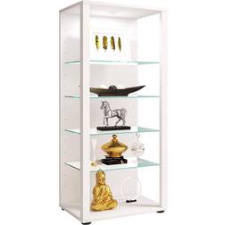 VCM Vidrio de Pie ESG Vitrina de cristal