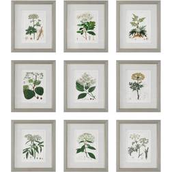 Uttermost Antique Botanicals Prints, S/9 Framed Art