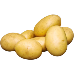 Bygxtra Santera Læggekartofler 1,5 Kg. Krukke