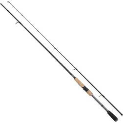 Shimano Catana FX Haspelspö F 8´10´ 50-100g