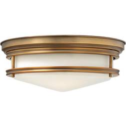 Loops 3 Bulb Low Ceiling Flush Light