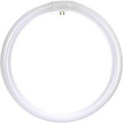 Sylvania Sunlite 05028 FC12T9/CW Circular T9 Fluorescent Tube Light Bulb