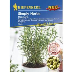 Kiepenkerl Rosmarin Rosmarinus officinalis, Inhalt: ca.