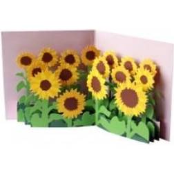 Adlibris 2totango Pop-up Card Sunflower Field Kort