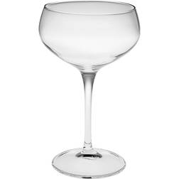 Exxent Bartender Coupe Saucers 305ml Pack of 6 Champagne Glass