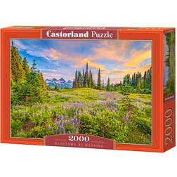 Castorland Blossoms of Morning 2000 Pieces