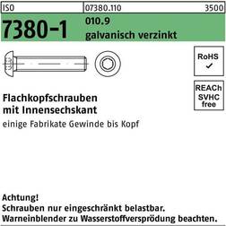 Sonstige Reyher Flachkopfschraube m iso 7380-1 m.Innensechskant 010.9 galvanisch verzinkt