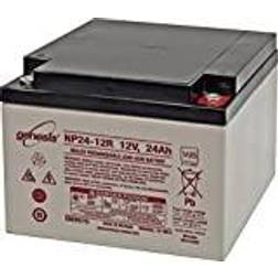 EnerSys Genesis Blybatteri 12V 24 Ah M5
