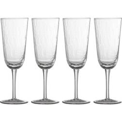 Bloomingville Asali Champagne Glass 27.5cl 4pcs