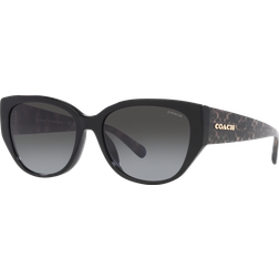 Coach Asian Fit Solbriller Kvinder - Black